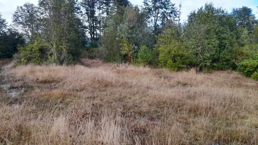 Venta de hermosa Parcela camino a Panguipulli Los Lagos