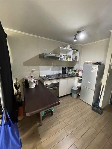 DEPARTAMENTO INDEPENDENCIA Y EL GUANACO