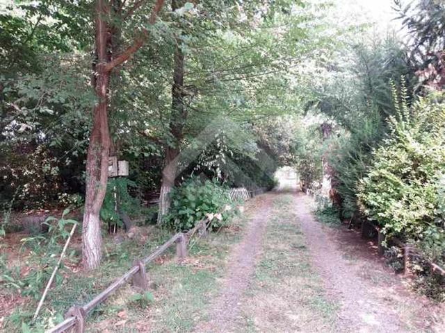 PARCELA Termas de Chillan