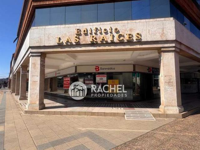 ARRIENDO GRAN LOCAL COMERCIAL - EDIFICIO LAS RAÍCES