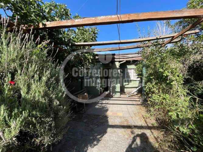 OTROS Los Nardos / San Jorge