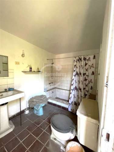 OTROS Los Nardos / San Jorge