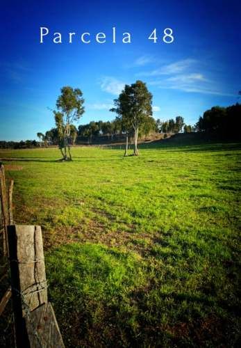 PARCELA Llanquihue