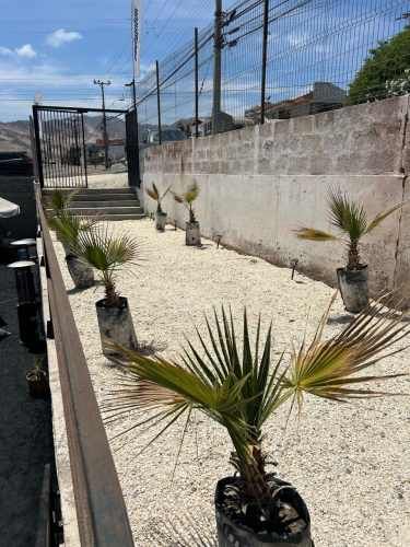 SE ARRIENDA, ARRIENDO EL MEJOR CENTRO DE CANCHAS DE PADEL EN ANTOFAGASTA