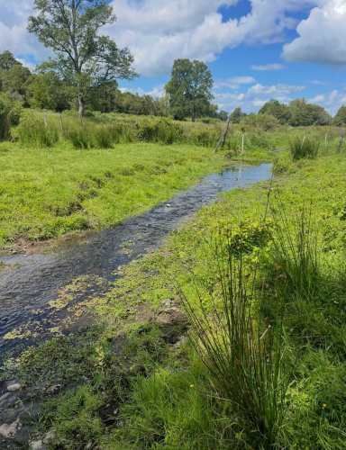 PARCELA, LOTEO RIO DAMAS (106885)
