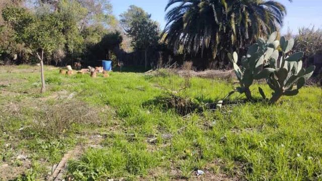 Vendo amplio terreno  en Quilpue