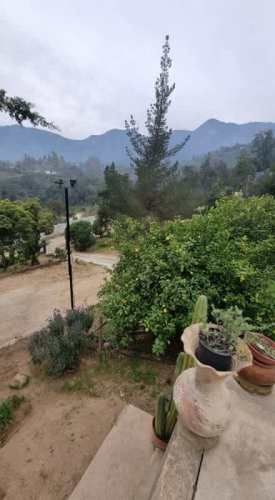 Vendo propiedad con plantación de Frutas