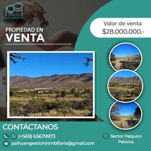 Se vende terreno de 5.000 m2, en sector Palquico, Petorca.