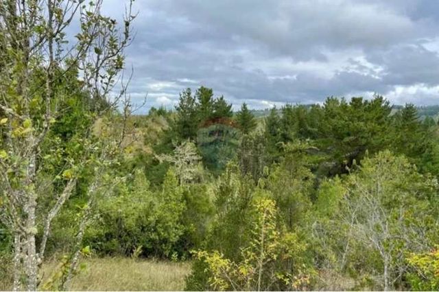 "parcela soñada en pichilcura, osorno, chile"