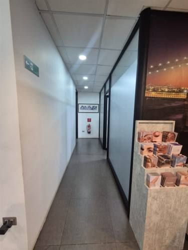LOCAL COMERCIAL 30 oriente 1330