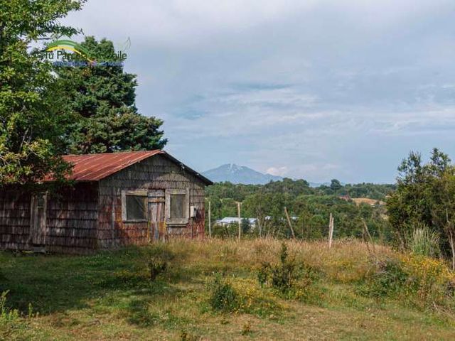 Disfruta Puerto Montt (107177)