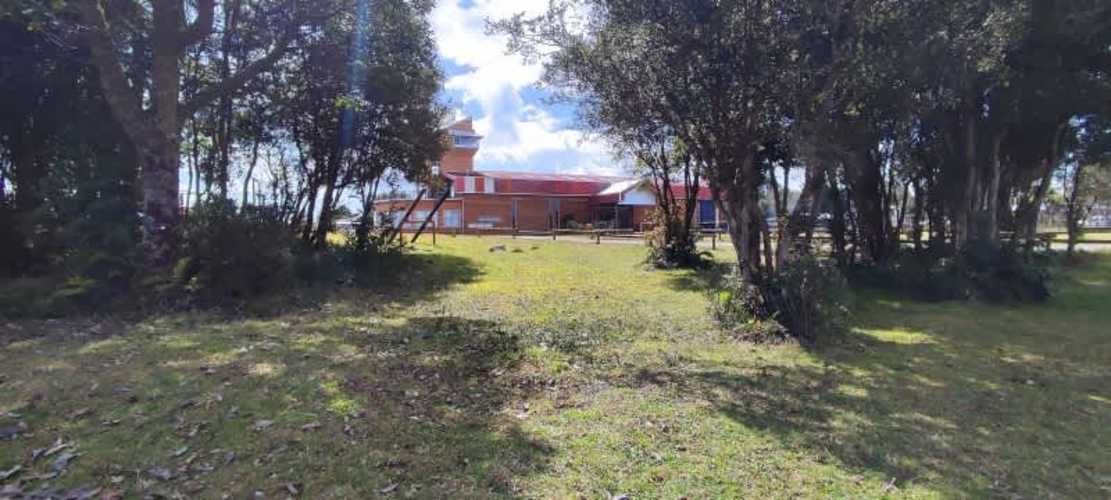 En Venta Establecimiento con 5 hectáreas