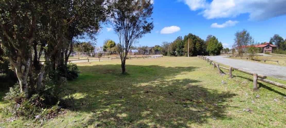 En Venta Establecimiento con 5 hectáreas