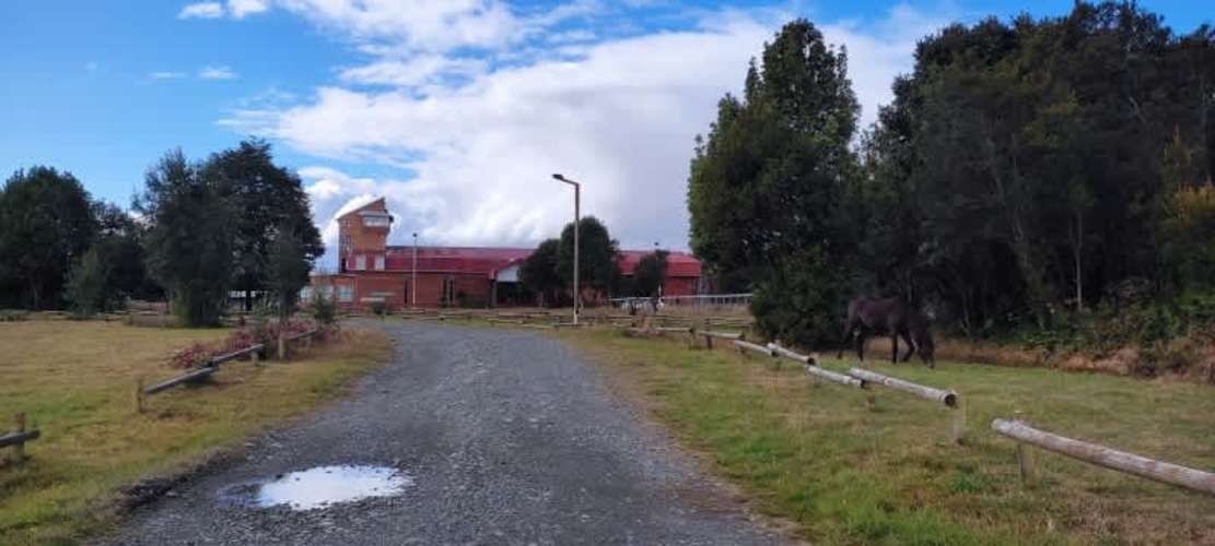 Arriendo Local Comercial Aprox 500m2