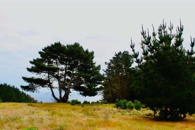 SE VENDE PARCELA CON VISTA AL MAR LAGUNA VERDE