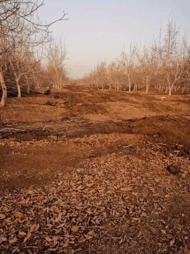 PARCELA Santa Teresa con El Colorado, Colina