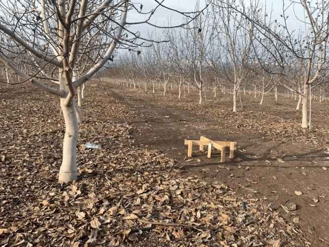 PARCELA Santa Teresa con El Colorado, Colina