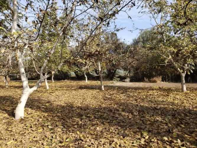 PARCELA Santa Teresa con El Colorado, Colina