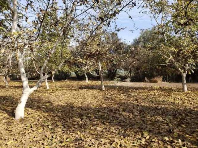 PARCELA Santa Teresa con El Colorado, Colina