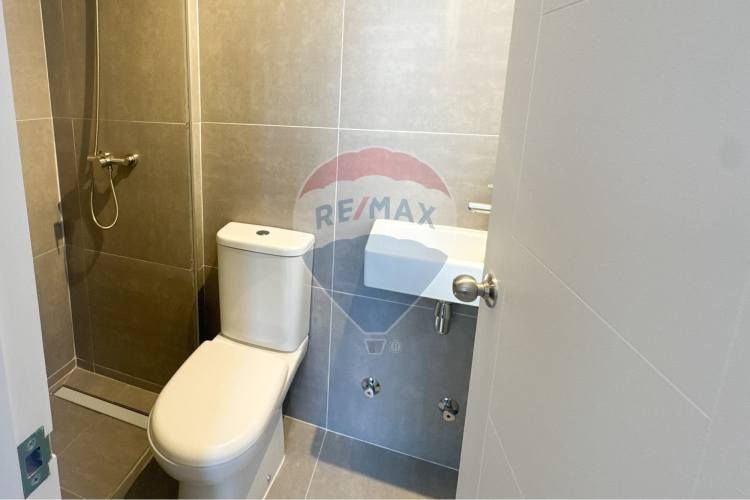 Proyecto el mañio, la foresta