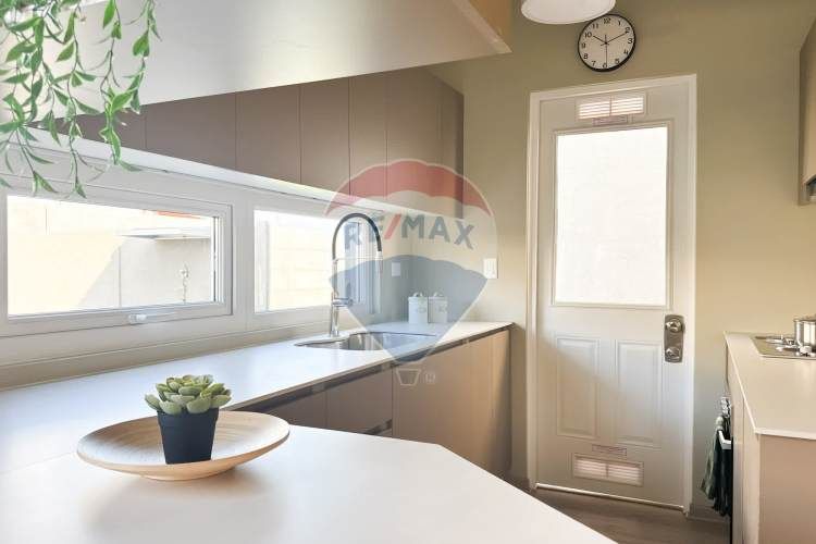 Proyecto el mañio, la foresta