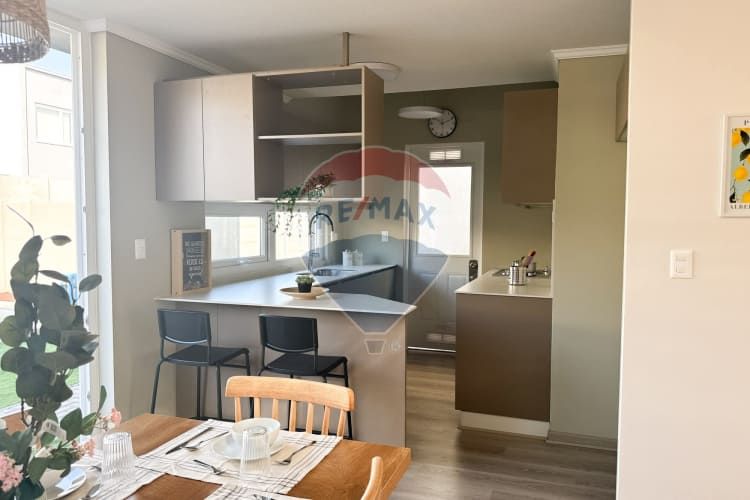 Proyecto el mañio, la foresta