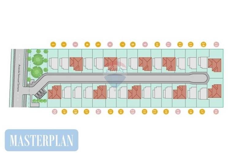 Proyecto el mañio, la foresta