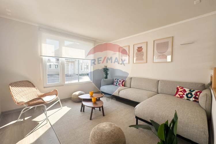 Proyecto el mañio, la foresta