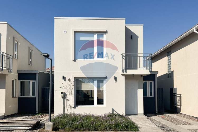 Proyecto el mañio, la foresta