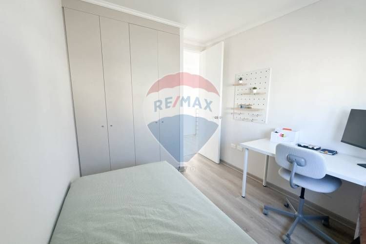 Proyecto el mañio, la foresta