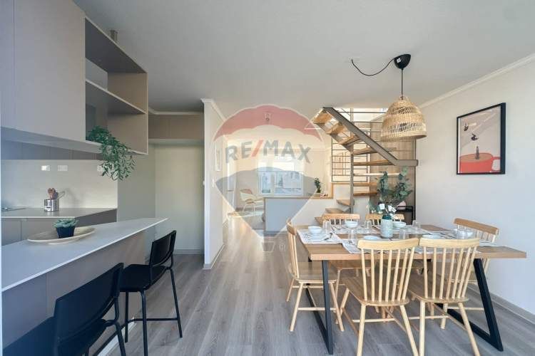 Proyecto el mañio, la foresta