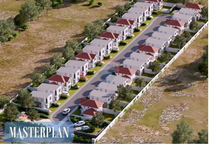 Proyecto el mañio, la foresta