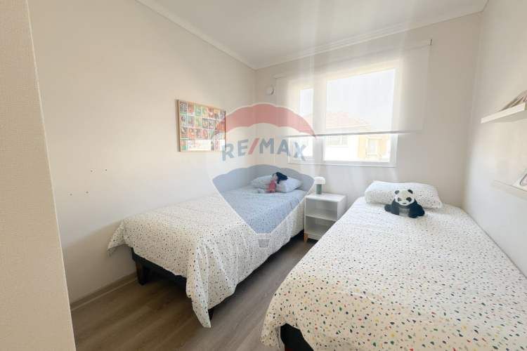 Proyecto el mañio, la foresta