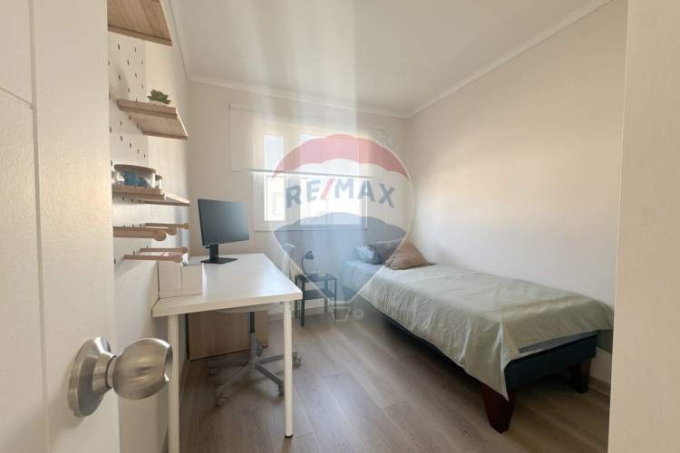 Proyecto el mañio, la foresta