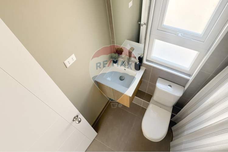 Proyecto el mañio, la foresta