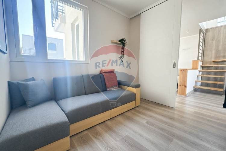 Proyecto el mañio, la foresta