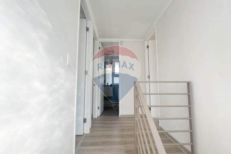 Proyecto el mañio, la foresta