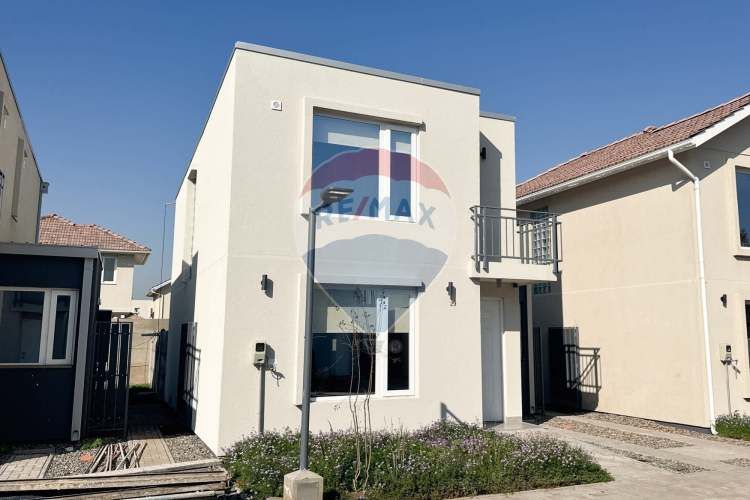 Proyecto el mañio, la foresta