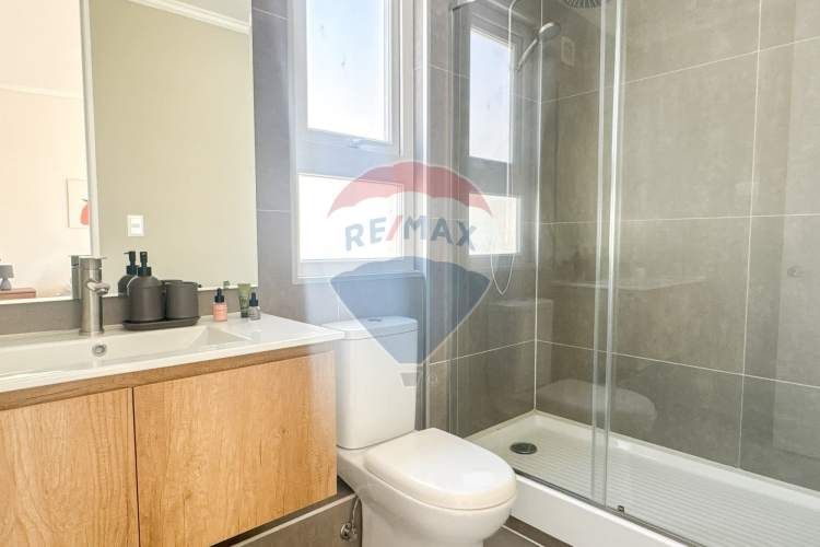 Proyecto el mañio, la foresta