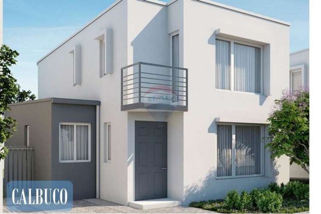 Proyecto el mañio, la foresta