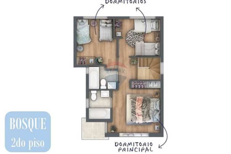 Proyecto el lingue, la foresta