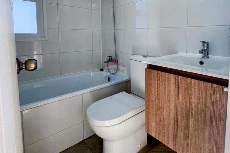 Proyecto el lingue, la foresta