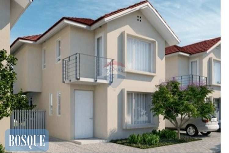 Proyecto el lingue, la foresta