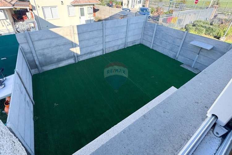 Proyecto el lingue, la foresta