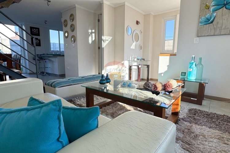 Proyecto el lingue, la foresta