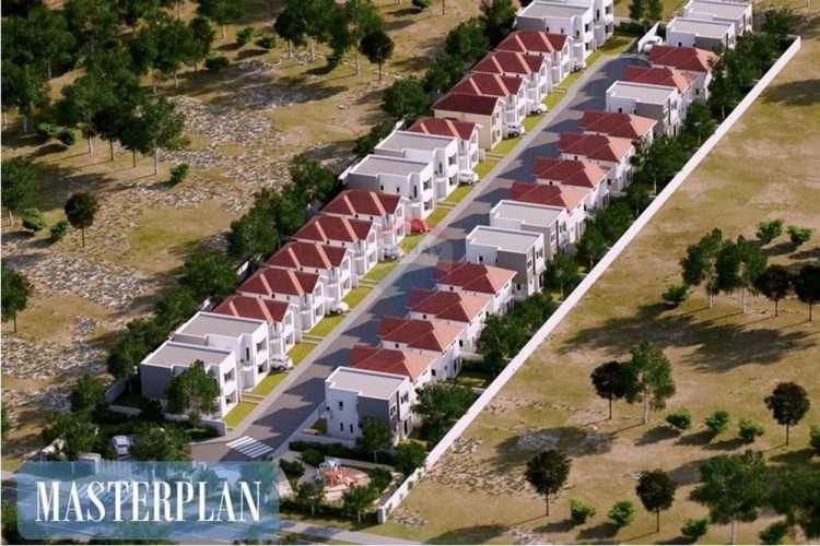 Proyecto el lingue, la foresta