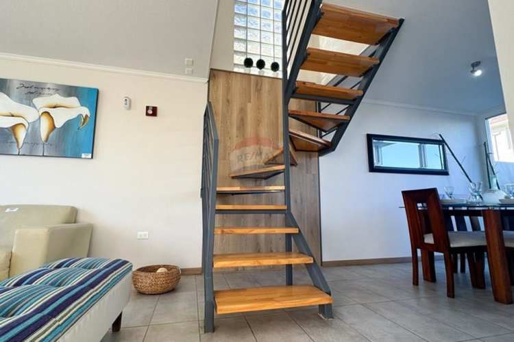 Proyecto el lingue, la foresta