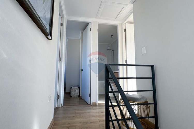 Proyecto el lingue, la foresta