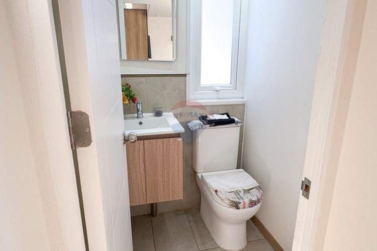 Proyecto el lingue, la foresta