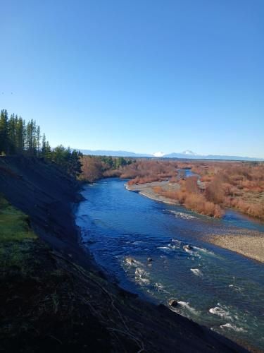 Se venden Terrenos en el sector Pangal del Laja